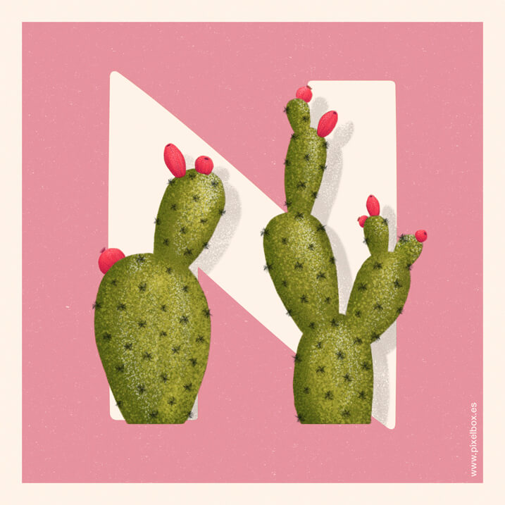 Nopal